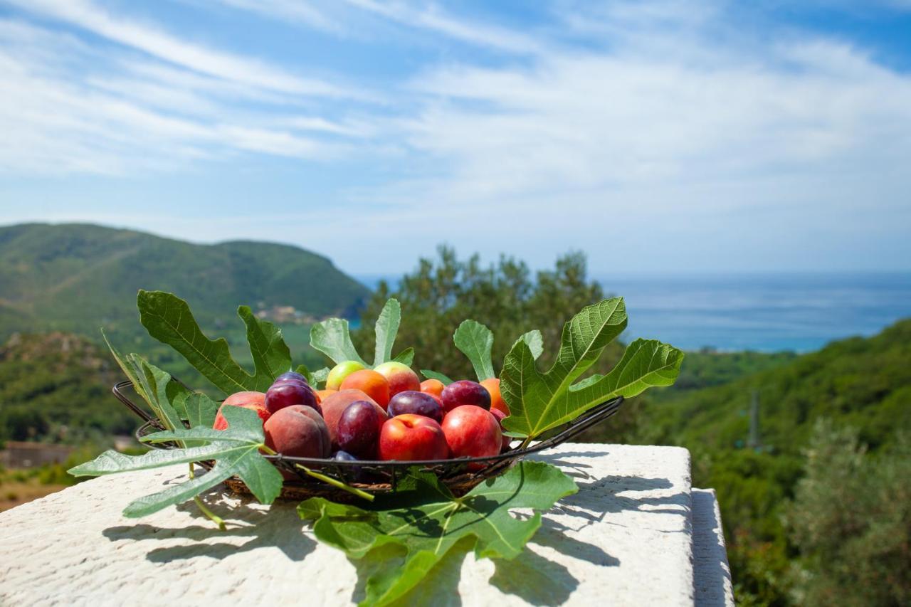 Eco Village Buljarica 布德瓦 外观 照片